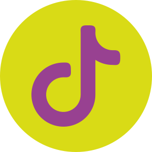 tiktok icon