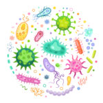 Pathogen microorganisms set. Bacteria, virus, germ, cancer cells, coronavirus in round border. Can be used for epidemic, healthcare, illness, microbiology topics