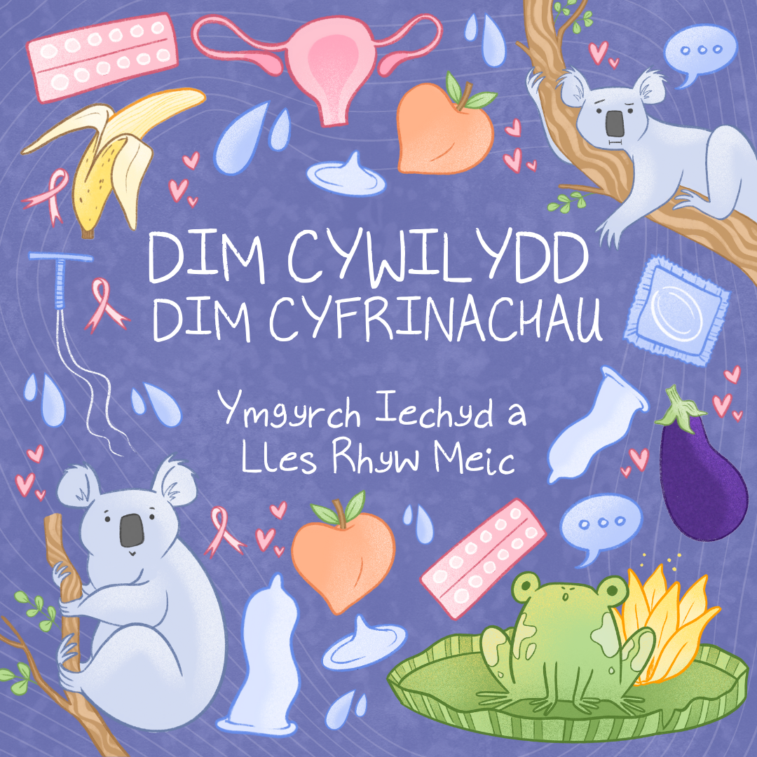 Dim Cywilydd Dim Cyfrinachau: Ymgyrch Iechyd a Lles Rhyw Meic