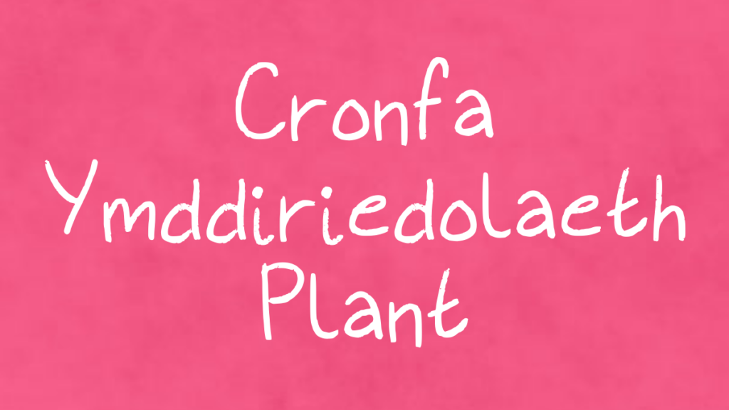 Botwm sgwâr pinc gyda'r teitl 'cronfa ymddiriedolaeth plant' mewn gwyn
