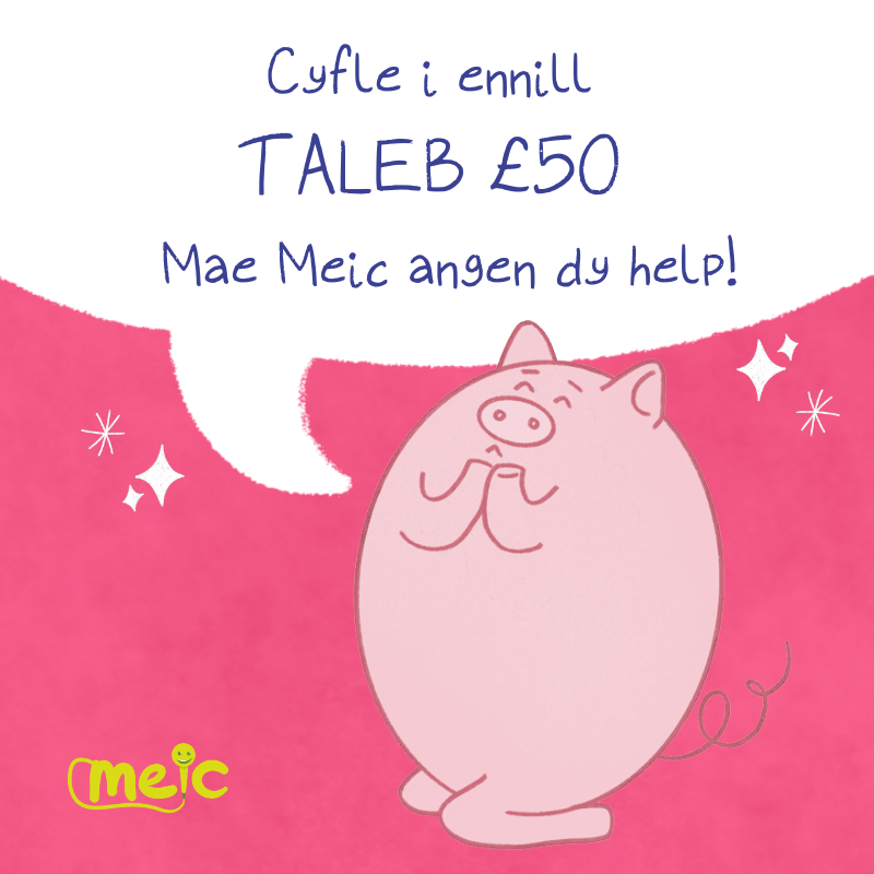(WEDI CAU) Rhanna Dy Farn a Helpu Gwella Gwefan Meic