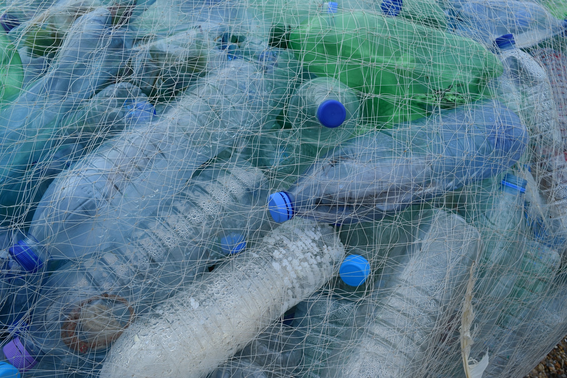 Plastic Pollution and How To Help