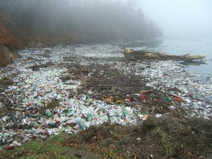 Plastic in the ocean Plastic Pollution article