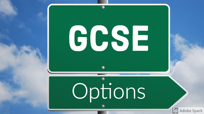 Help With Choosing Your GCSE Options