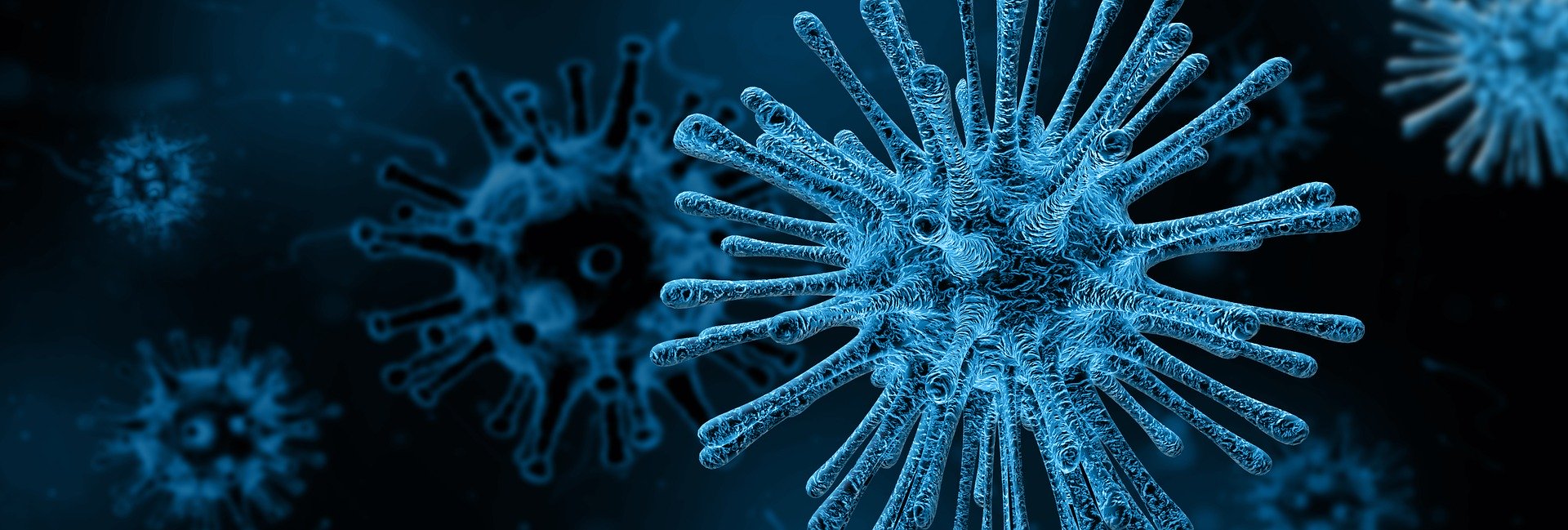 Worried About The Coronavirus? Don’t Panic!