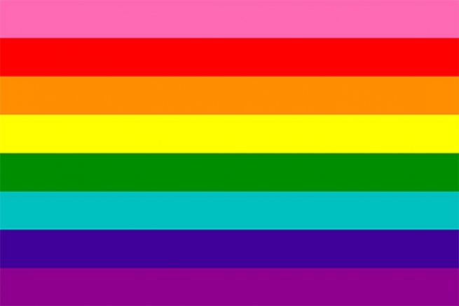 Gilbert Baker's Original Pride Flag colours - pink, red, orange, yellow, green, turquoise, indigo and violet