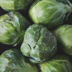 The Brussels sprout is a member of the Gemmifera Group of cabbages (Brassica oleracea), grown for its edible buds