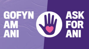 Ask for Ani logo for say no more to domestic abuse blog