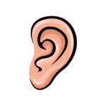 Ear vector to depict listening to a friend
