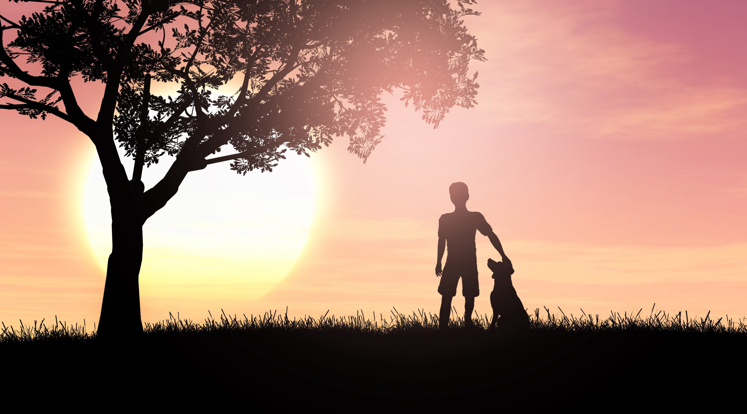 6 Tips for Coping with Pet Loss