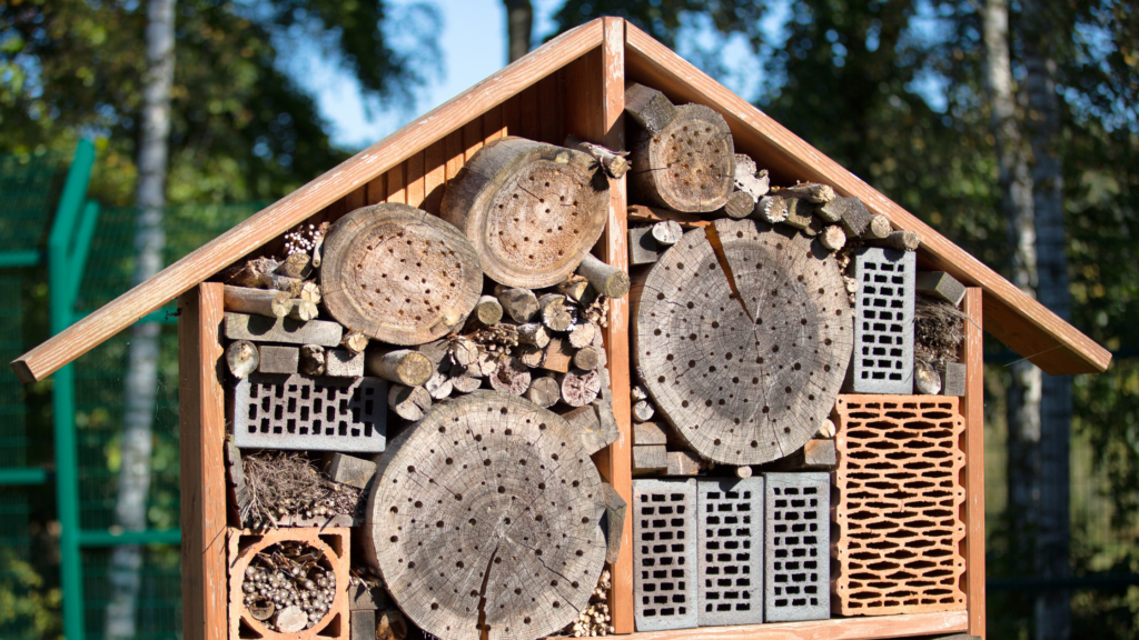 Wooden bug hotel