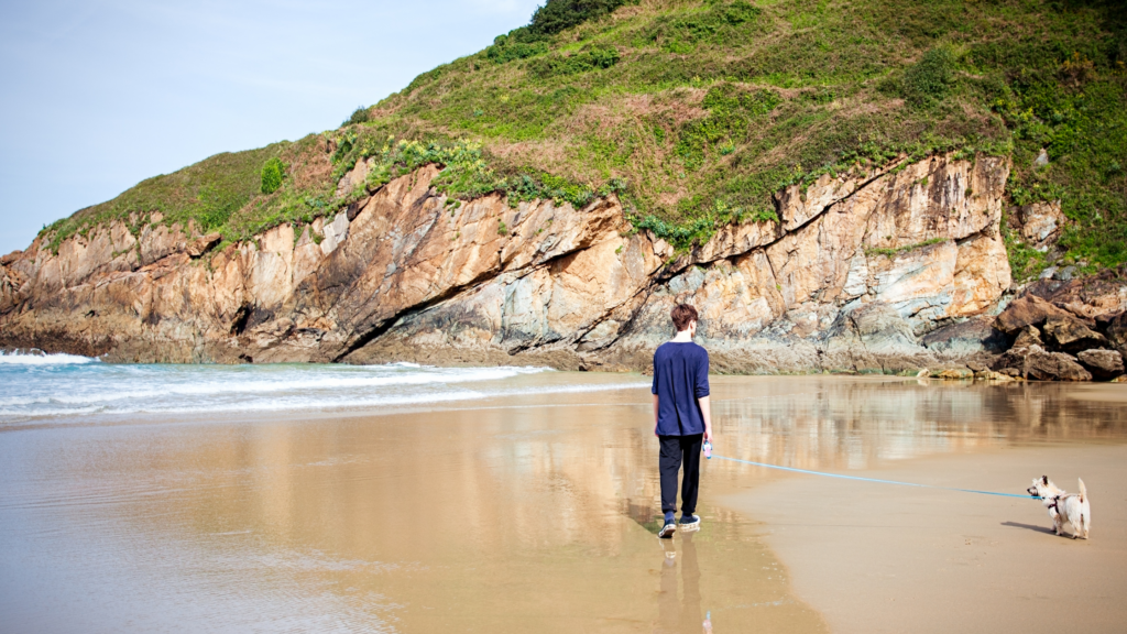 Teenage boy walking a dog on a sandy beach
Cyfleoedd Gwirfoddoli Awyr Agored