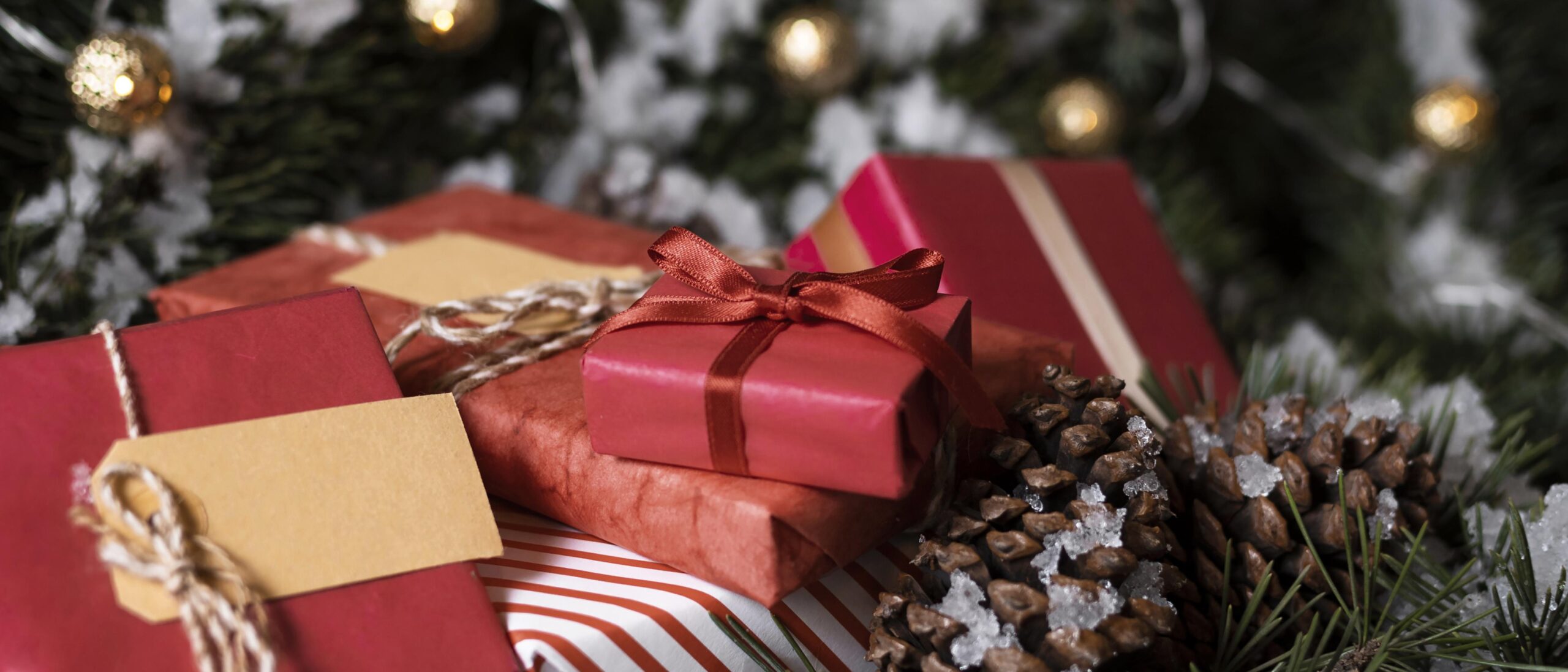 Christmas Now, Worry Later? The Hidden Costs of Buy Now Pay Later (BNPL) schemes